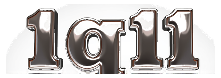 1q11 logo